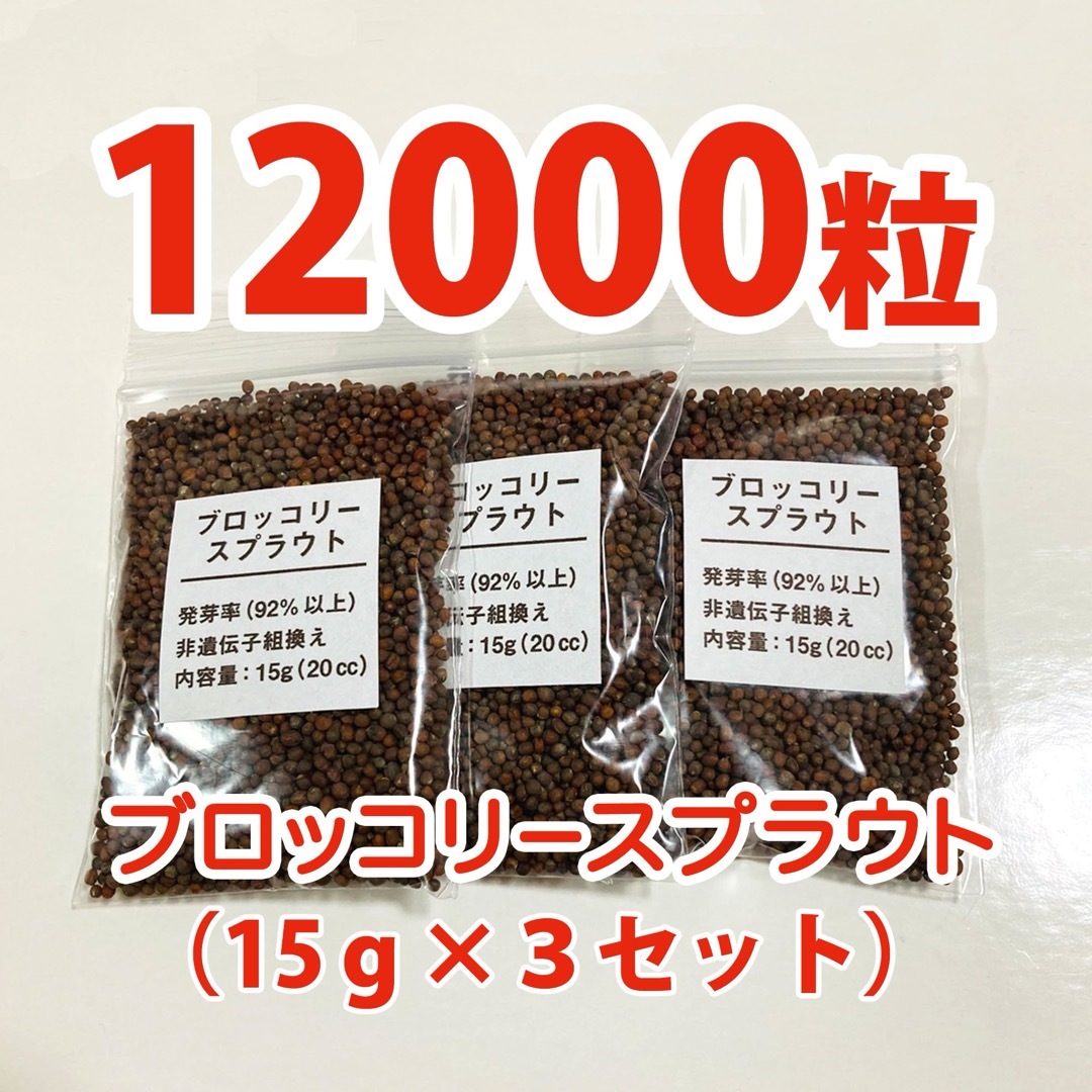 【12000粒】ブロッコリースプラウト 種 タネ　たね　60ml 食品/飲料/酒の食品(野菜)の商品写真