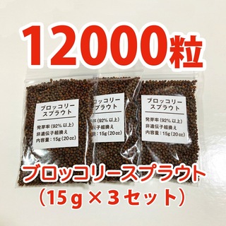【12000粒】ブロッコリースプラウト 種 タネ　たね　60ml(野菜)