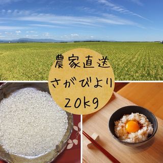 令和5年度・特A評価！農家直送の米　さがびより20キロ(米/穀物)