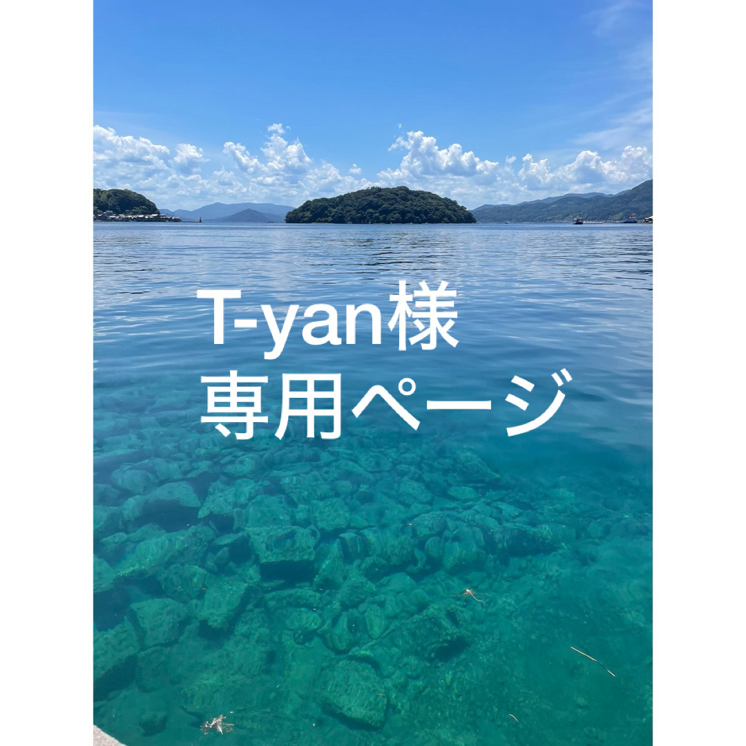 T-yan様 その他のその他(その他)の商品写真