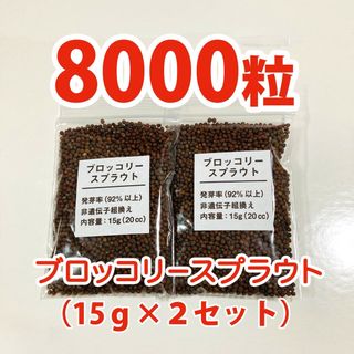 【8000粒】ブロッコリースプラウト 種 タネ　たね　40ml(野菜)