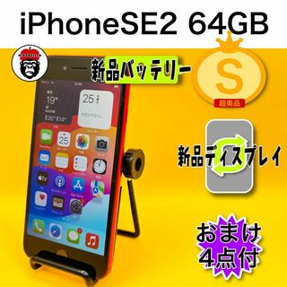 iPhone SE 第2世代 (SE2) レッド 64 GB SIMフリー(スマートフォン本体)