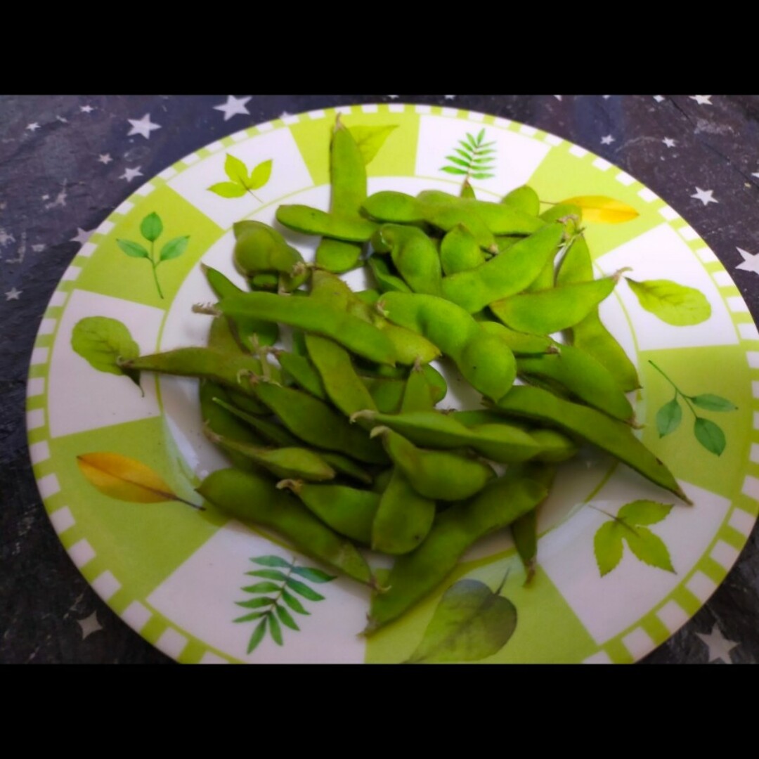 鞍掛豆　400グラム 食品/飲料/酒の食品(野菜)の商品写真