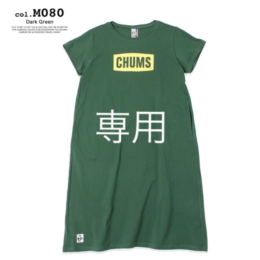 CHUMS(チャムス)のCHUMS 未使用　半袖Tシャツワンピース　L メンズのトップス(Tシャツ/カットソー(半袖/袖なし))の商品写真