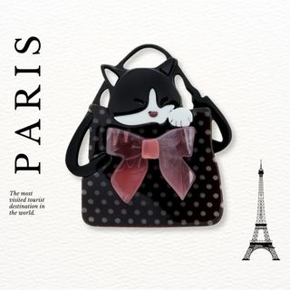 Paris broach アクリル ブローチ ピン バッグの中のねこ(ブローチ/コサージュ)