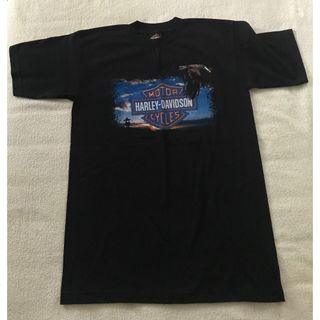 ハーレーダビッドソン(Harley Davidson)のハーレーダビッドソンTシャツ　ビンテージ未使用品(Tシャツ/カットソー(半袖/袖なし))