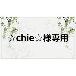 ☆chie☆様専用ページ(しおり/ステッカー)