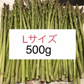 アスパラ　Lサイズ500g アスパラガス(野菜)