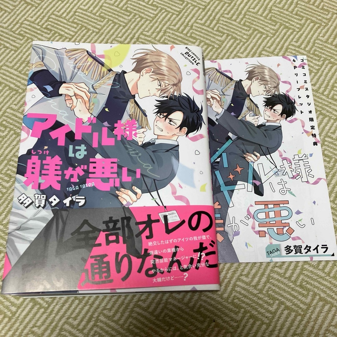 アイドル様は躾が悪い 多賀タイラ 漫画 コミック BL エンタメ/ホビーの漫画(ボーイズラブ(BL))の商品写真