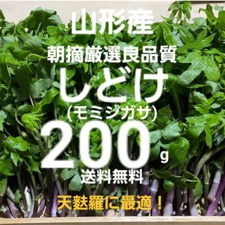 山形庄内鳥海山産　朝摘天然しどけ(モミジガサ)約200g　春野菜　山菜　天麩羅(野菜)