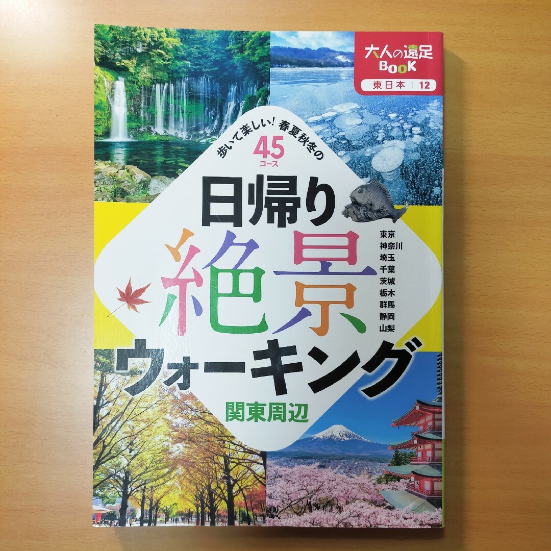 日帰り絶景ウォーキング関東周辺 エンタメ/ホビーの本(地図/旅行ガイド)の商品写真