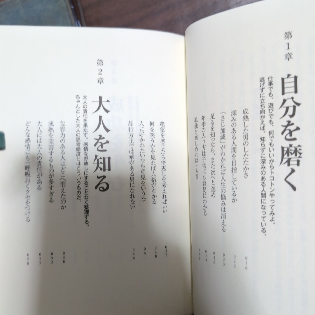 男の成熟 : 仕事も遊びも自分に嘘をつくな エンタメ/ホビーの本(文学/小説)の商品写真