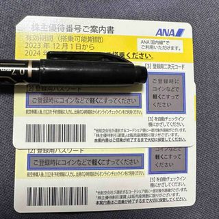 ANA株主優待2枚　2024年11月30日期限(航空券)