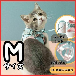 猫 猫用 ハーネス 胴輪 リード 散歩 ピンク ブルー 小型犬 うさぎ ペット(猫)