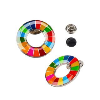 2個　SDGs ピンバッジ　最安値　国連　グッズ　バッチ　表面丸みタイプ　(バッジ/ピンバッジ)