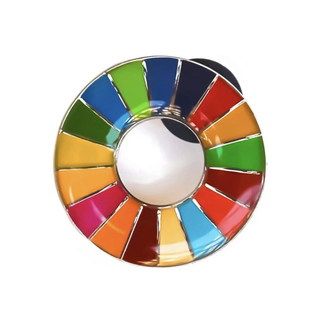 SDGs ピンバッジ　最安値　国連　グッズ　バッチ　表面丸みタイプ　(バッジ/ピンバッジ)