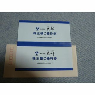 2枚ホリデイスポーツクラブ 東祥 株主優待券ホリデースポーツクラブ株主様ご優待券(フィットネスクラブ)