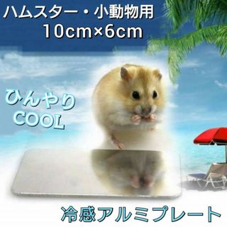 1枚　冷感　アルミプレート　ひんやり　クールマット　ハムスター　小動物　ペット