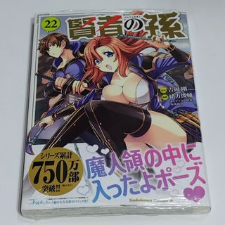 賢者の孫 コミック 22巻(青年漫画)