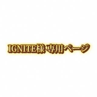 IGNITE様専用ページ(その他)