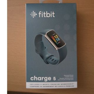 Fitbit Charge 5 Platinum/Mineral Blue(その他)