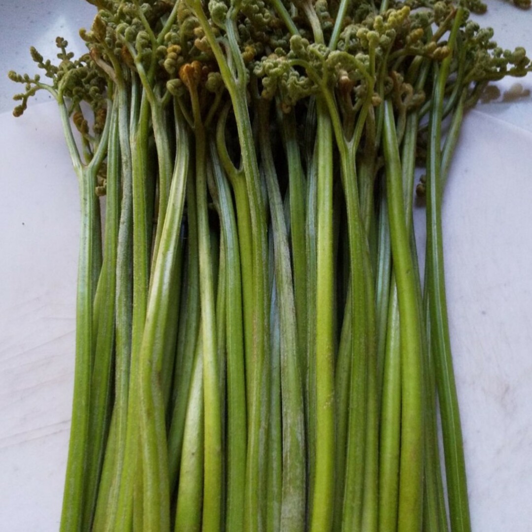 天然わらび 1キロ 食品/飲料/酒の食品(野菜)の商品写真