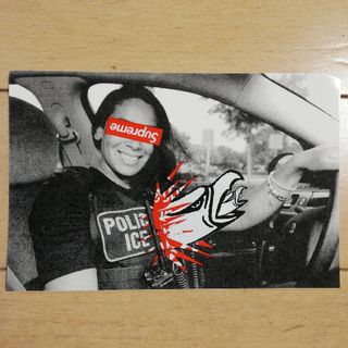 シュプリーム(Supreme)のSUPREME ANTIHERO ICE STICKER(その他)