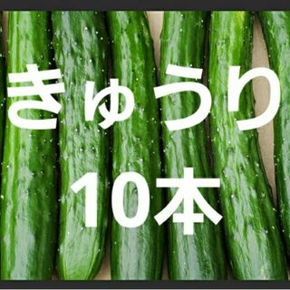 きゅうり10本(野菜)