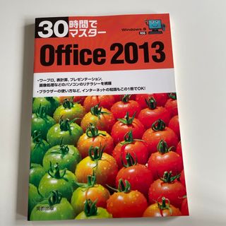 ３０時間でマスタあ－Ｏｆｆｉｃｅ　２０１３(コンピュータ/IT)