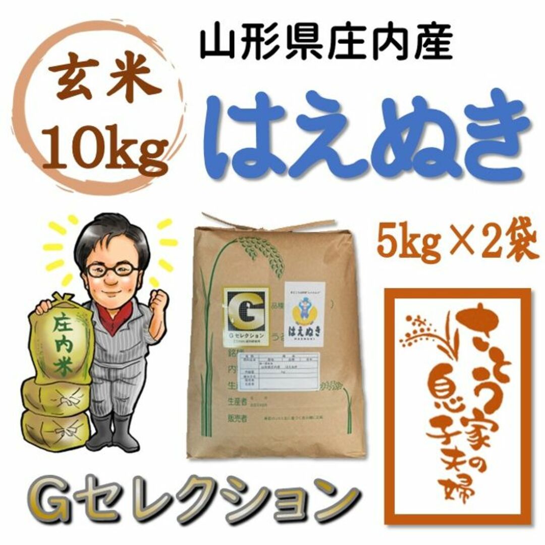 山形県庄内産　はえぬき　玄米10kg　Ｇセレクション 食品/飲料/酒の食品(米/穀物)の商品写真