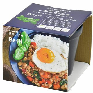 聖新陶芸 レシピ付き栽培セット+Recipe バジル(その他)