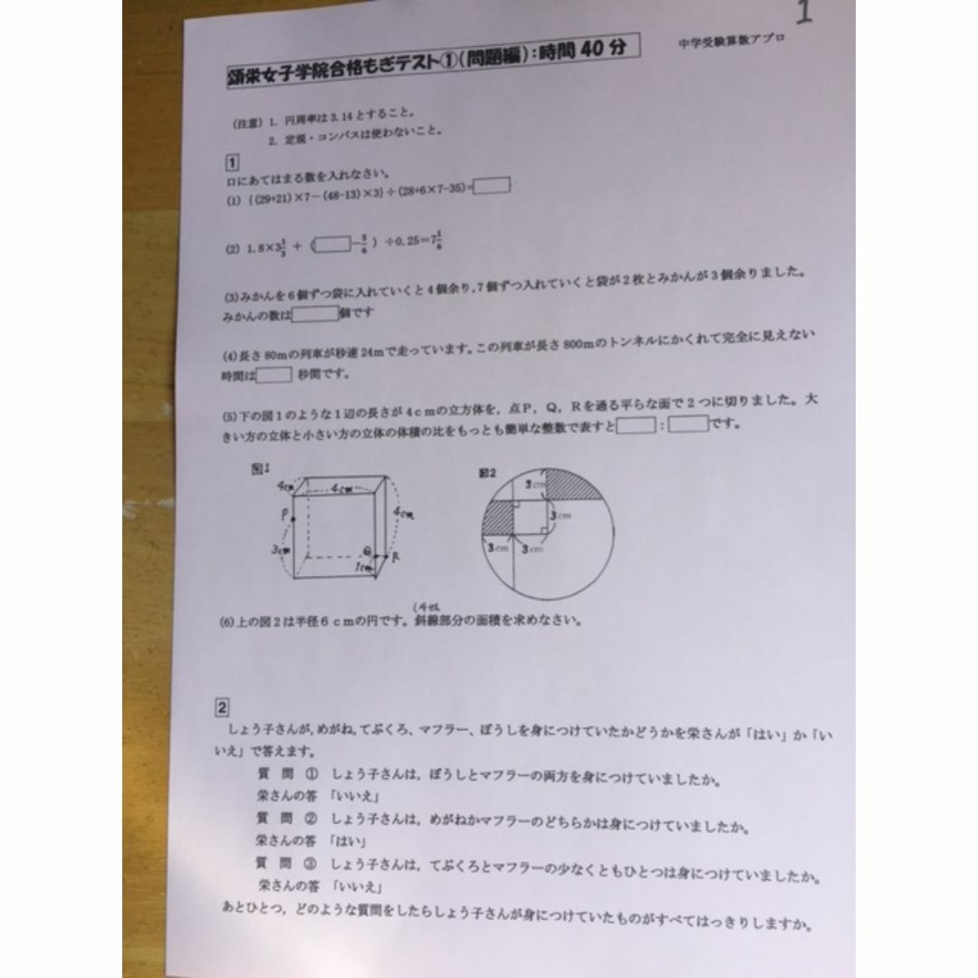 頌栄女子学院中学校　2025年新合格への算数と分析理科プリント その他のその他(その他)の商品写真