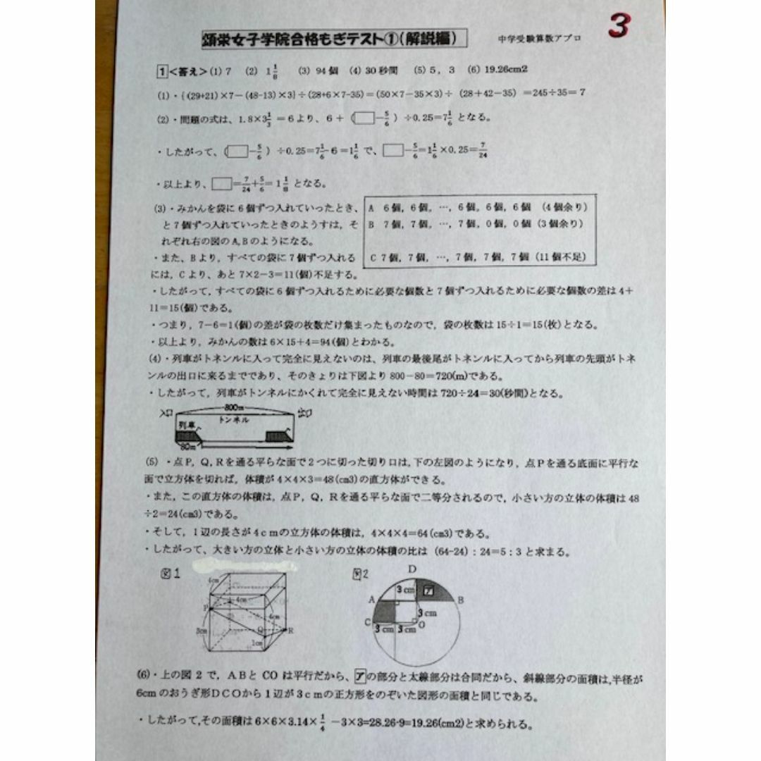頌栄女子学院中学校　2025年新合格への算数と分析理科プリント その他のその他(その他)の商品写真