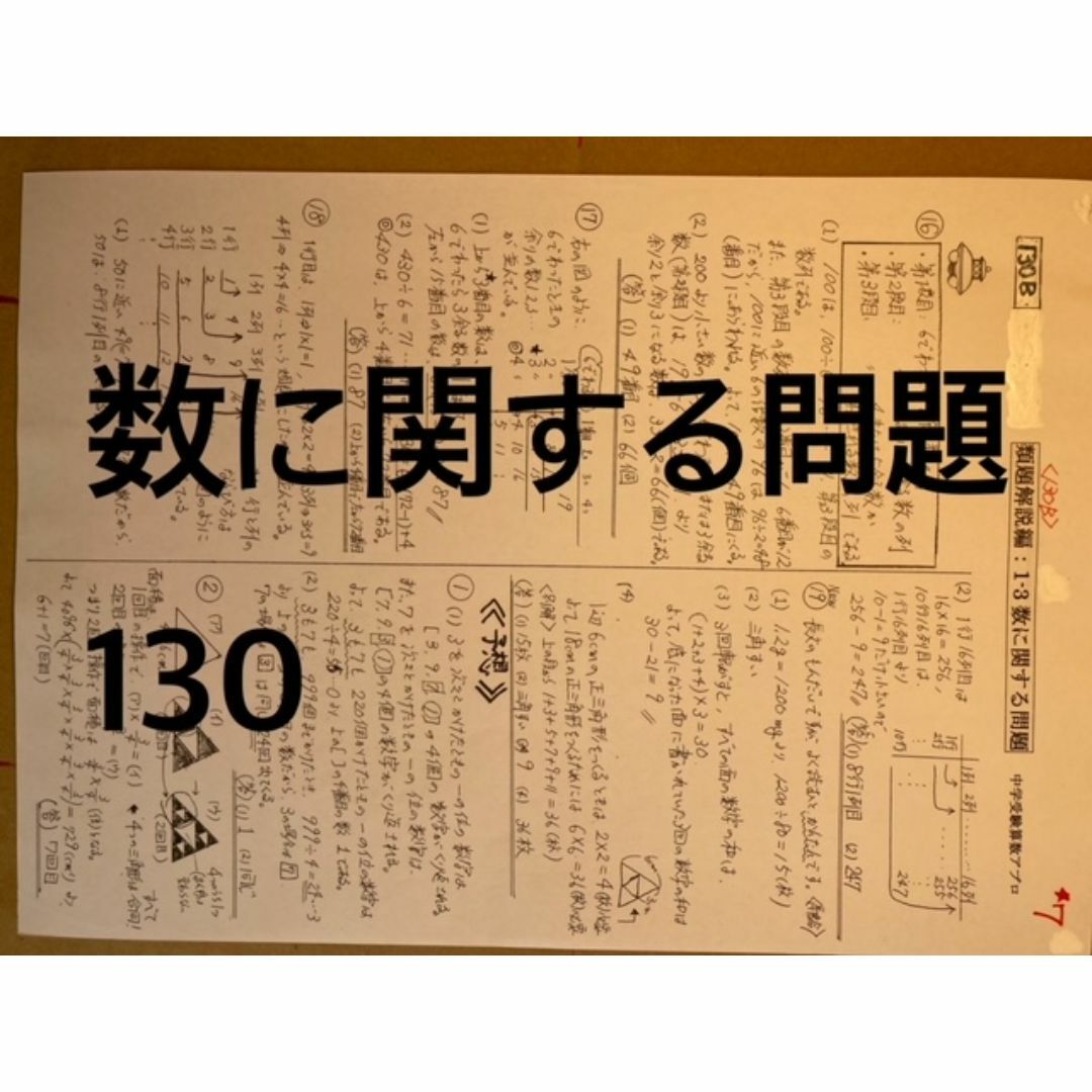 頌栄女子学院中学校　2025年新合格への算数と分析理科プリント その他のその他(その他)の商品写真