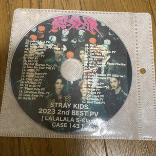 Stray kids スキズ  ストレイキッズ　DVD dvd(アイドル)