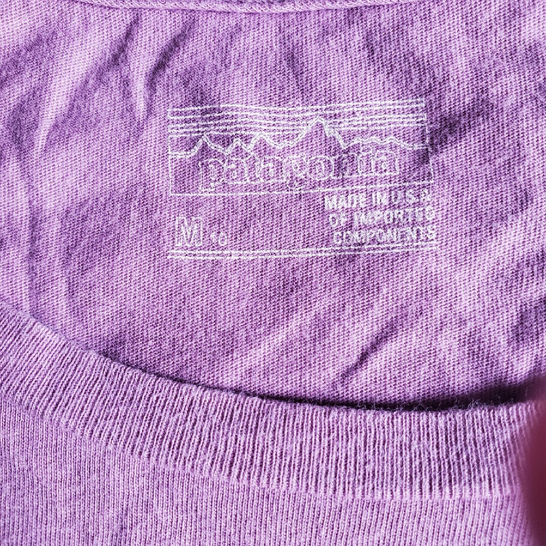 patagonia(パタゴニア)のPatagonia キッズ/ベビー/マタニティのキッズ服男の子用(90cm~)(Tシャツ/カットソー)の商品写真