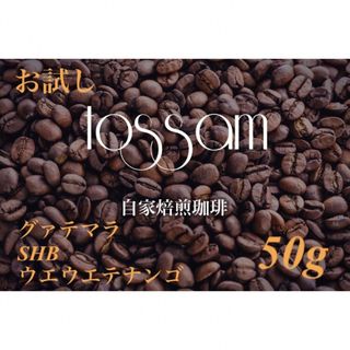 お試し 自家焙煎 珈琲豆  50g グァテマラ SHB ウエウエテナンゴ地区(コーヒー)