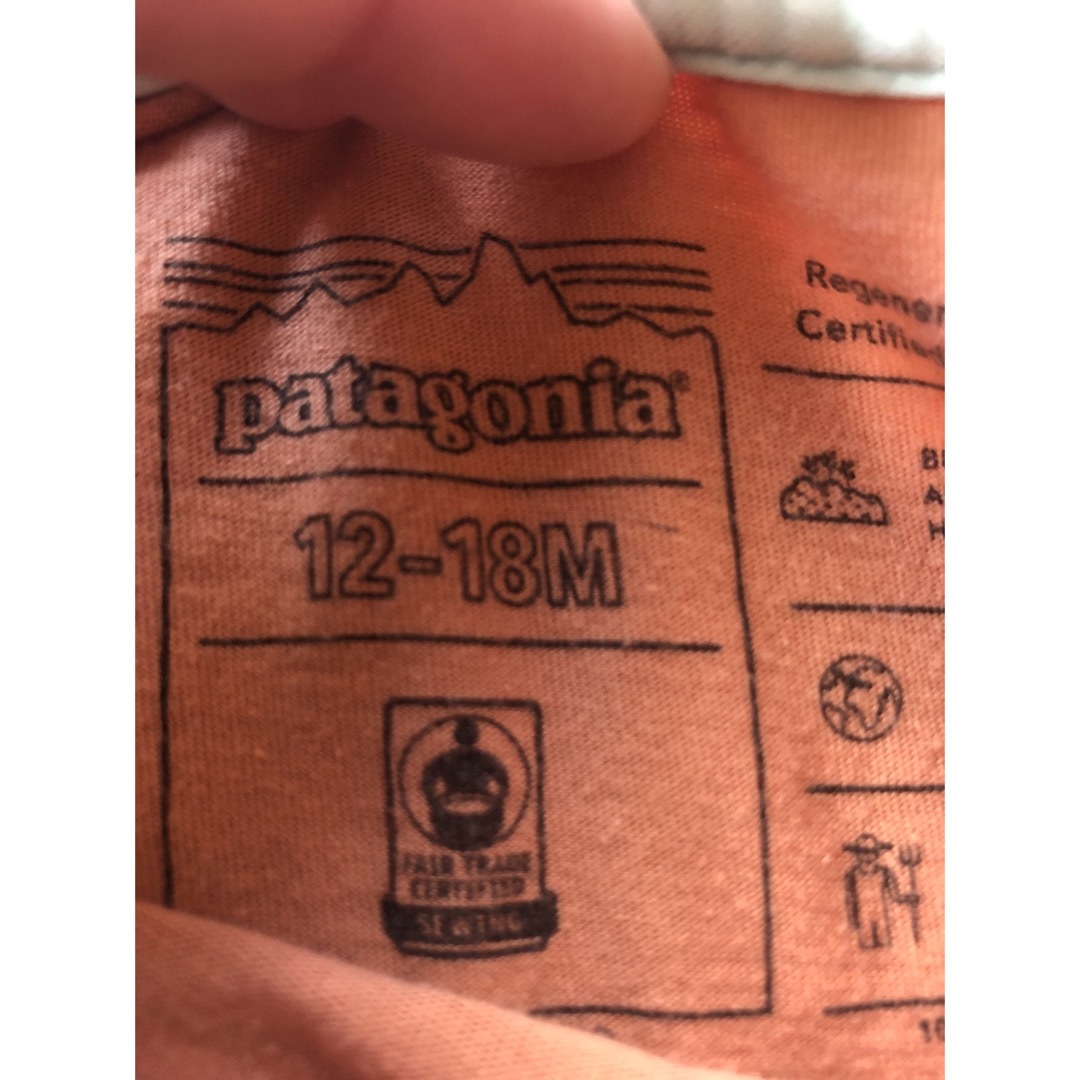 patagonia(パタゴニア)のパタゴニア　キッズTシャツ　12-18M キッズ/ベビー/マタニティのベビー服(~85cm)(Ｔシャツ)の商品写真