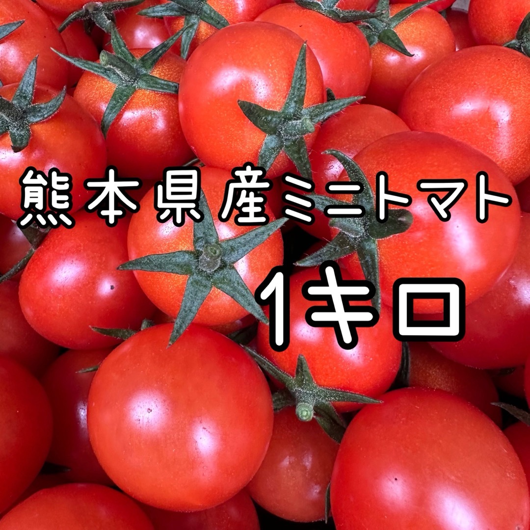 熊本県産 ミニトマト 新品種 TYみわく 1キロ 食品/飲料/酒の食品(野菜)の商品写真