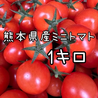 熊本県産 ミニトマト 新品種 TYみわく 1キロ(野菜)
