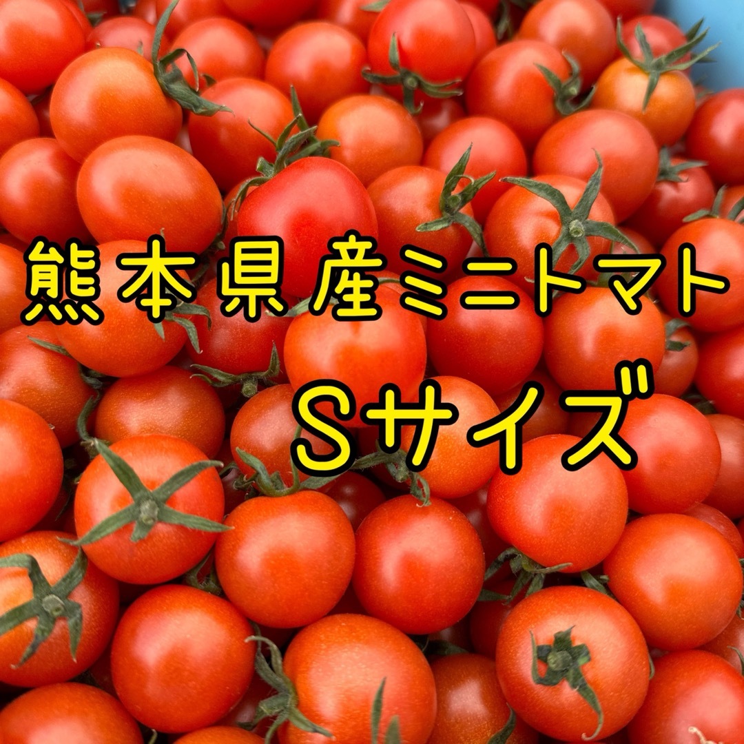 熊本県産 ミニトマト Sサイズ 1キロ 食品/飲料/酒の食品(野菜)の商品写真