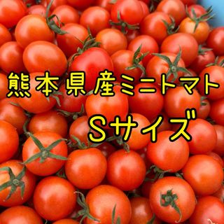 熊本県産 ミニトマト Sサイズ 1キロ(野菜)