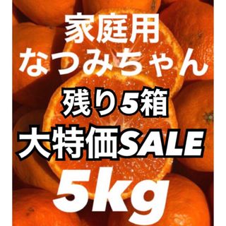 愛媛県産みかん なつみ 箱込5kg 柑橘 ミカン 果物(フルーツ)