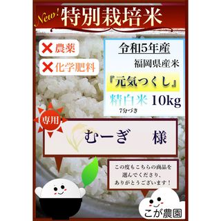 むーぎ様専用　準自然米　福岡県産「元気つくし」令和５年産　精白米10kg  (米/穀物)