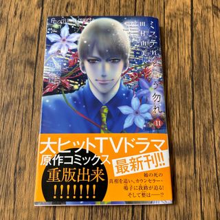 ショウガクカン(小学館)のミステリと言う勿れ11(その他)