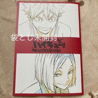 シュウエイシャ(集英社)の劇場版　ハイキュー!!　特典　メモリアルブック(少年漫画)