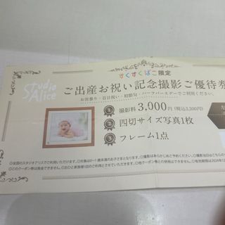 スタジオアリス　すくすくばこ限定出産お祝い記念写真撮影券(その他)