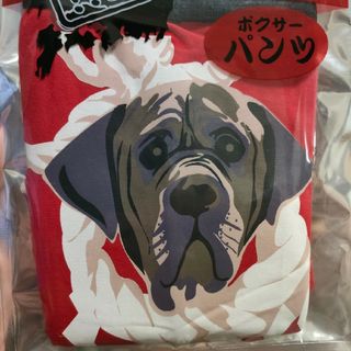 ボクサーパンツ　パンツ　ボクサー　犬　土佐犬　赤色　新品　未使用　未開封　ご当地(ボクサーパンツ)