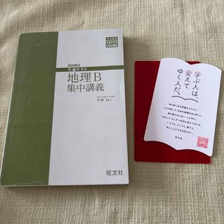 大学入試共通テスト地理Ｂ集中講義(語学/参考書)