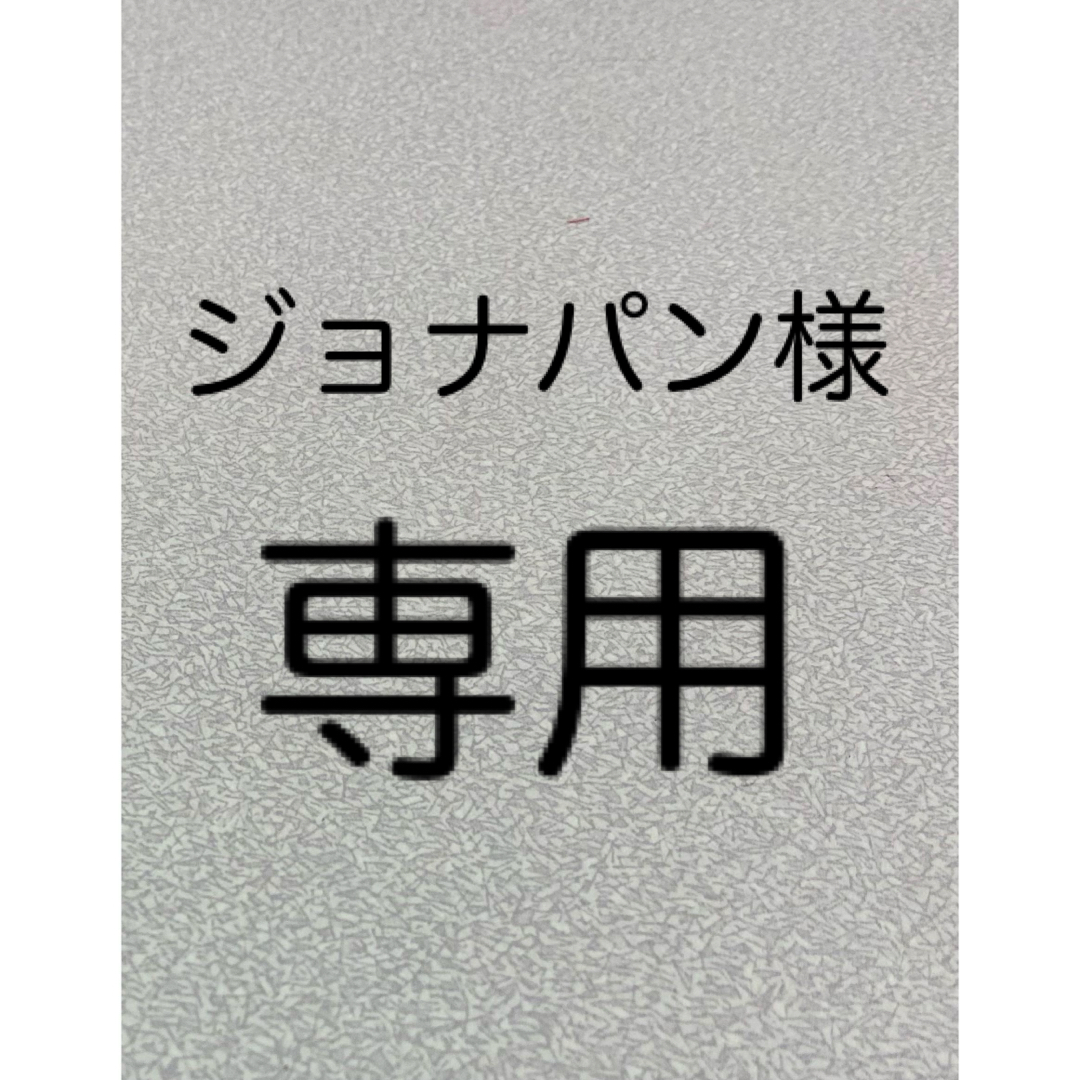 ジョナパン様　専用 エンタメ/ホビーのミリタリー(個人装備)の商品写真